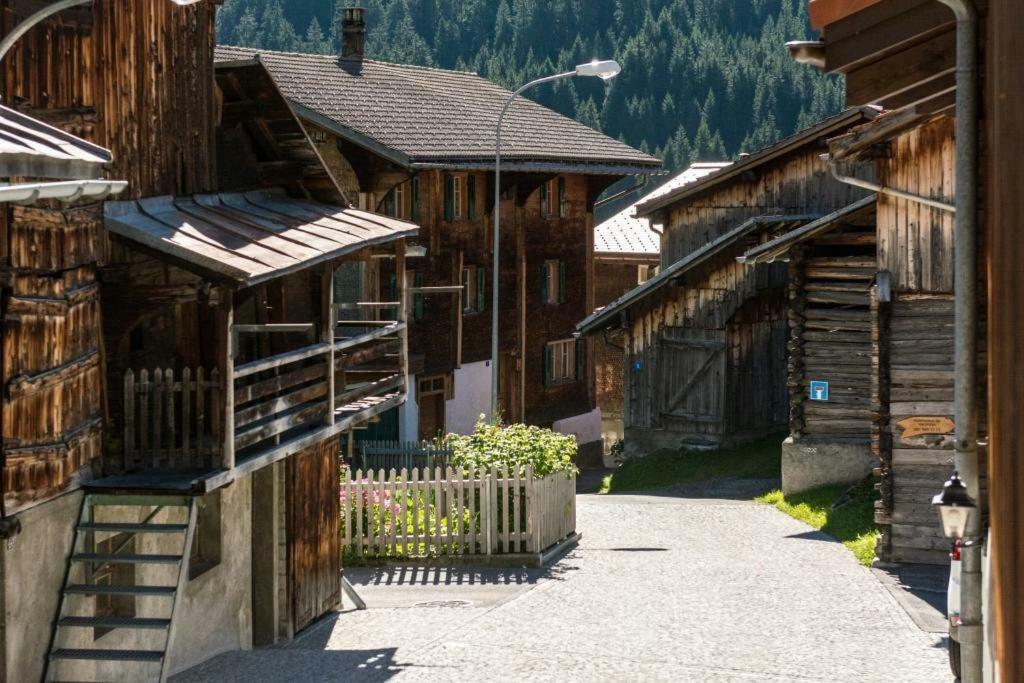 Disentis Mountain View Apartment Екстериор снимка